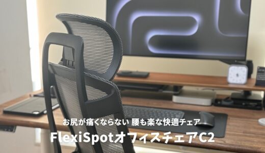 FlexiSpotオフィスチェアC2レビュー：お尻が痛くならない、腰も楽な快適チェア